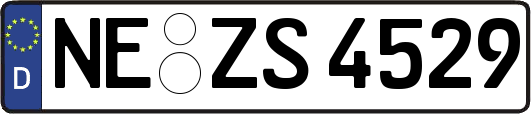 NE-ZS4529