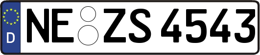 NE-ZS4543