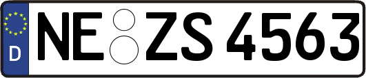 NE-ZS4563