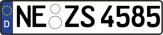 NE-ZS4585
