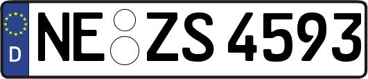 NE-ZS4593
