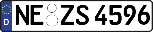 NE-ZS4596