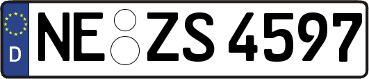 NE-ZS4597