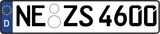 NE-ZS4600