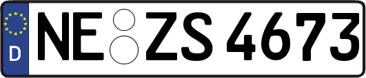 NE-ZS4673