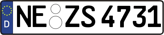NE-ZS4731