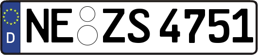 NE-ZS4751