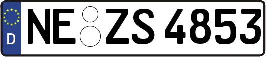 NE-ZS4853