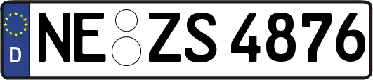 NE-ZS4876