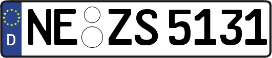 NE-ZS5131