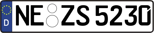 NE-ZS5230