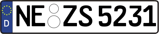 NE-ZS5231