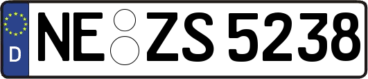 NE-ZS5238