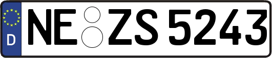 NE-ZS5243