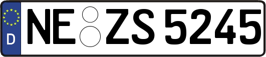 NE-ZS5245