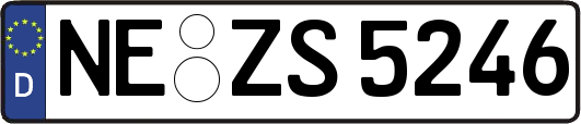 NE-ZS5246