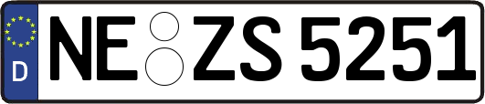NE-ZS5251