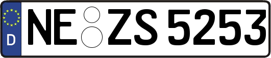 NE-ZS5253