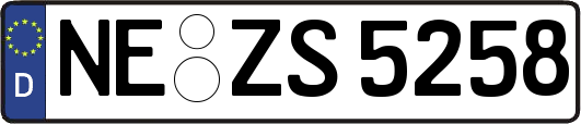 NE-ZS5258