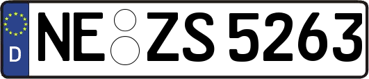 NE-ZS5263