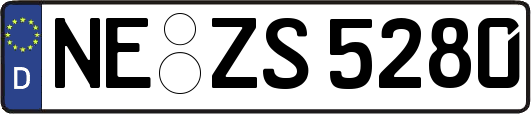 NE-ZS5280