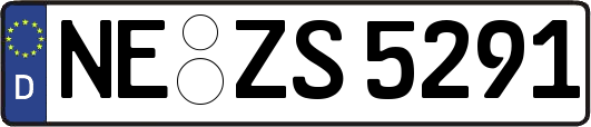 NE-ZS5291