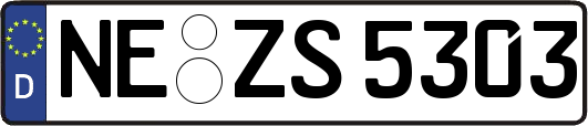 NE-ZS5303