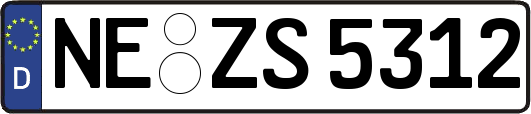 NE-ZS5312