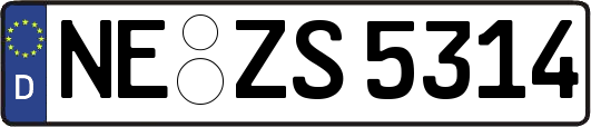 NE-ZS5314