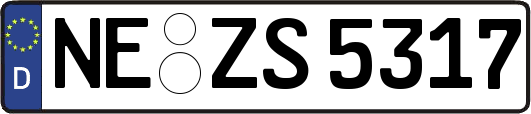 NE-ZS5317
