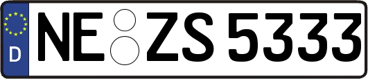 NE-ZS5333