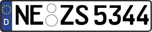 NE-ZS5344