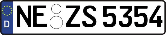 NE-ZS5354