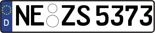 NE-ZS5373