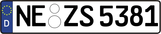 NE-ZS5381