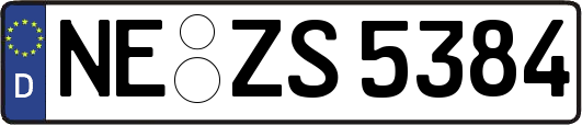 NE-ZS5384