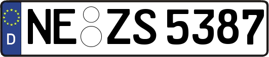 NE-ZS5387