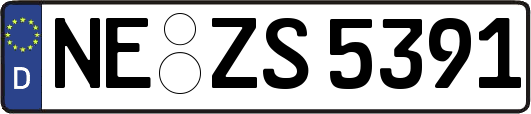NE-ZS5391
