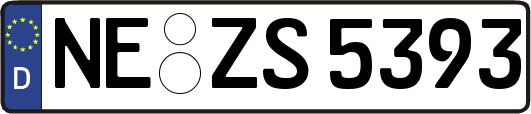NE-ZS5393
