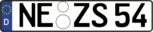 NE-ZS54