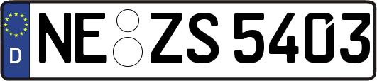NE-ZS5403