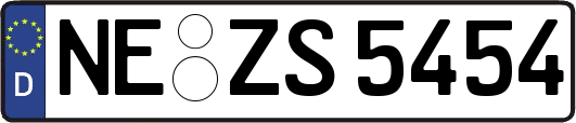 NE-ZS5454