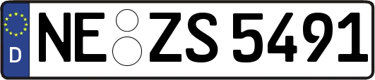 NE-ZS5491