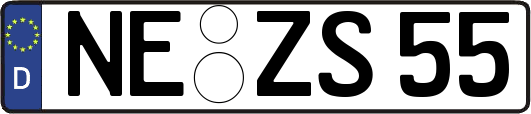 NE-ZS55
