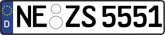 NE-ZS5551
