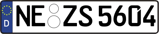 NE-ZS5604