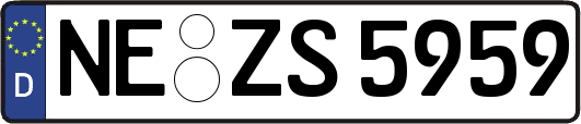 NE-ZS5959