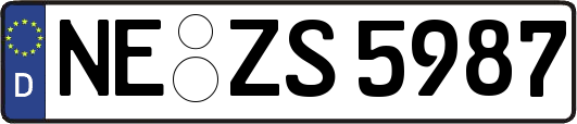 NE-ZS5987