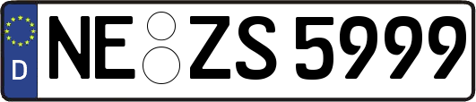 NE-ZS5999
