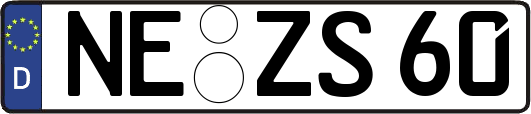 NE-ZS60
